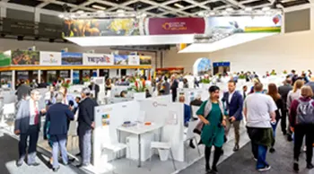 Durable pavilion stand manufacture ensuring long-lasting exhibition solutions.
